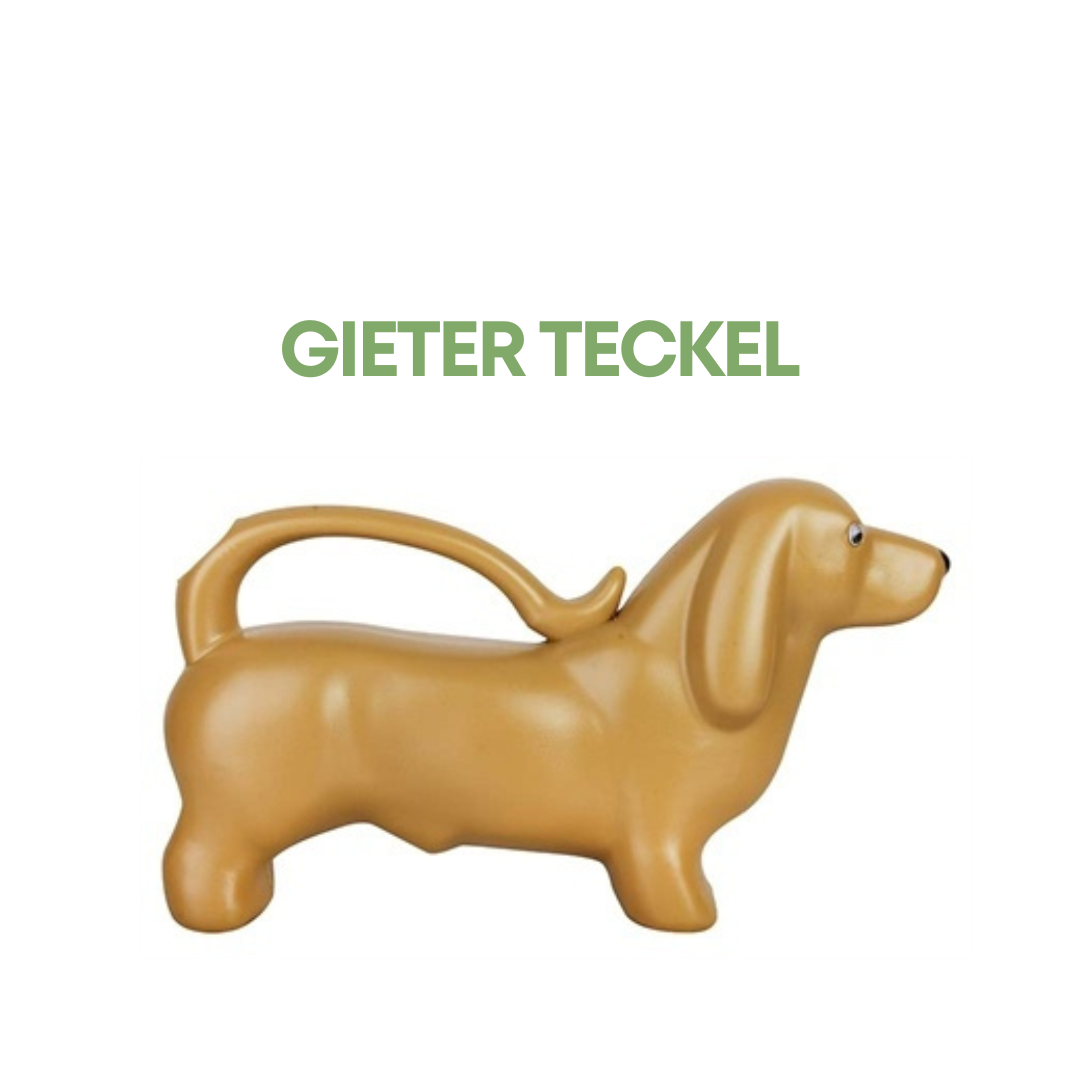Teckel Gieter