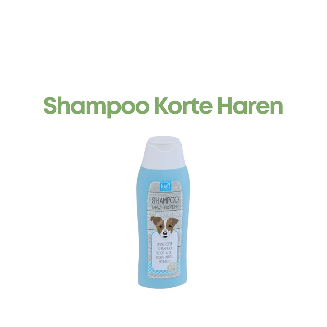 LIEF! Shampoo Kort Haar