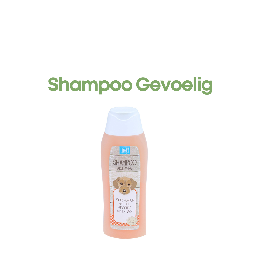 LIEF! Shampoo Gevoelige Huid Aloe Vera