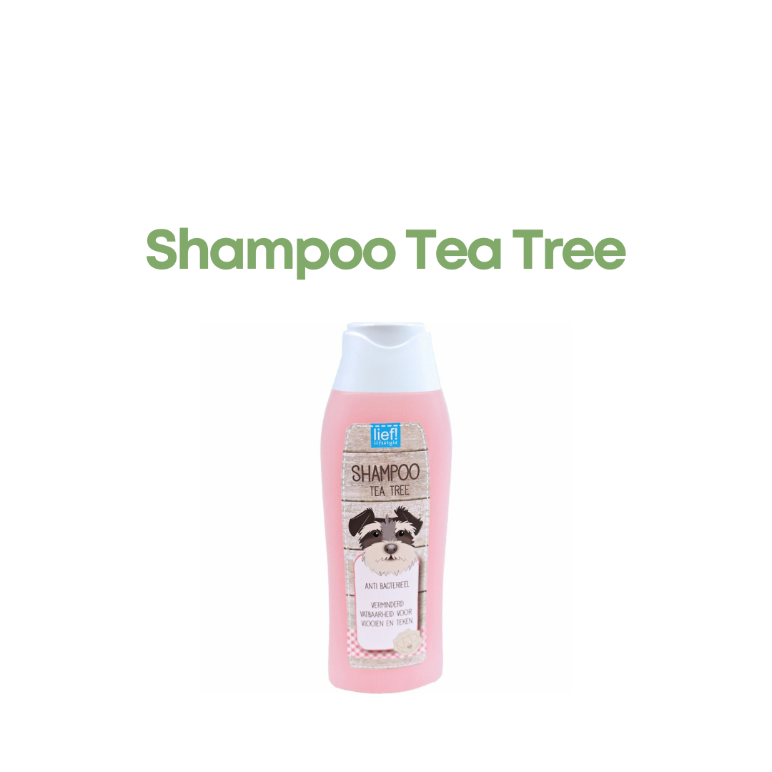 LIEF! Shampoo Tea Tree Olie