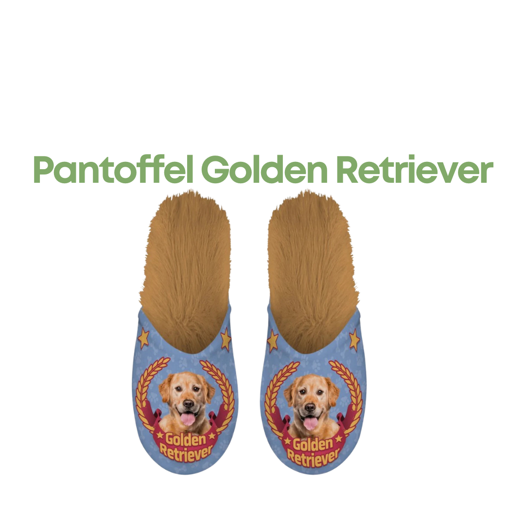 Golden Retriever Pantoffels