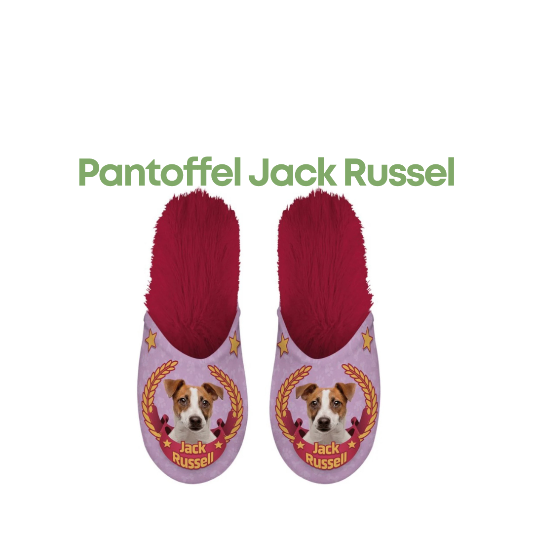 Jack Russell Pantoffels