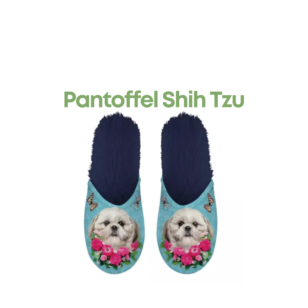 Shih Tzu Pantoffels