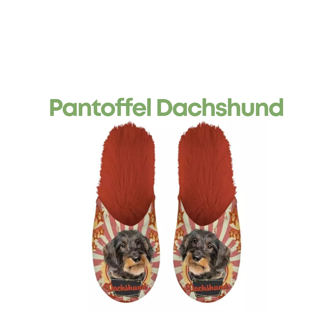 Teckel Pantoffels