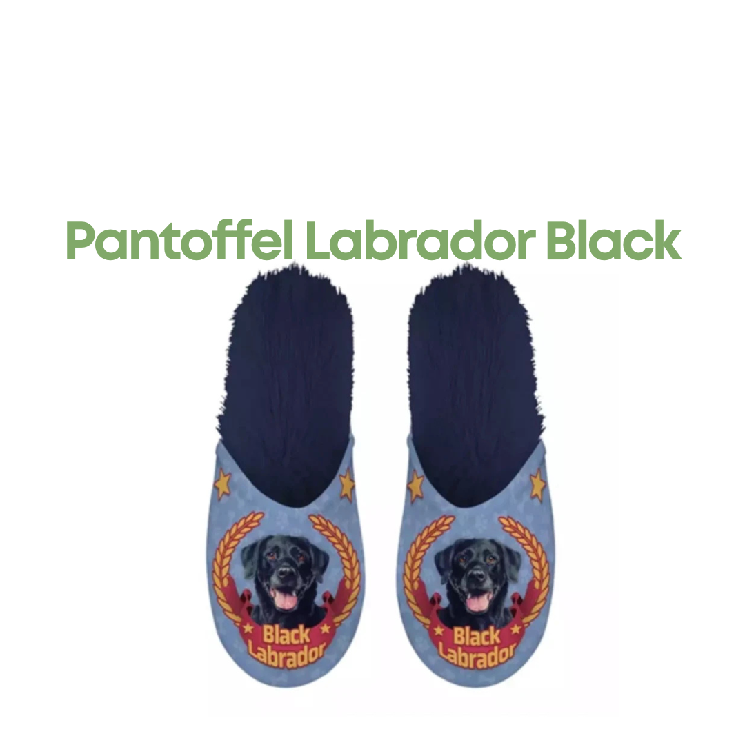 Labrador Pantoffels