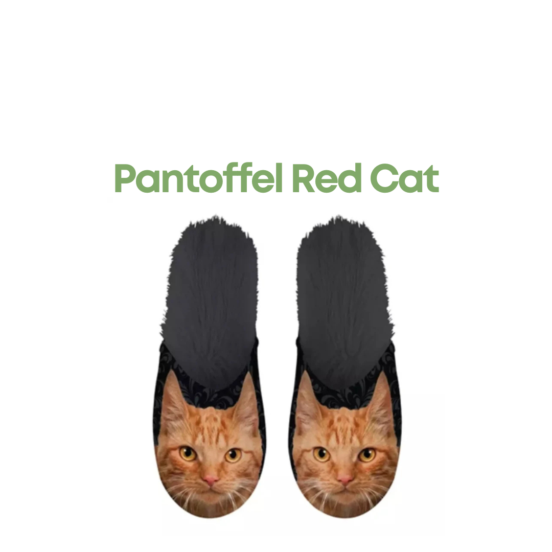 Red Cat Pantoffels