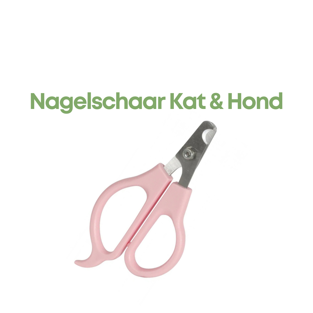 ZOLUX ANAH NAGELSCHAAR ROZE