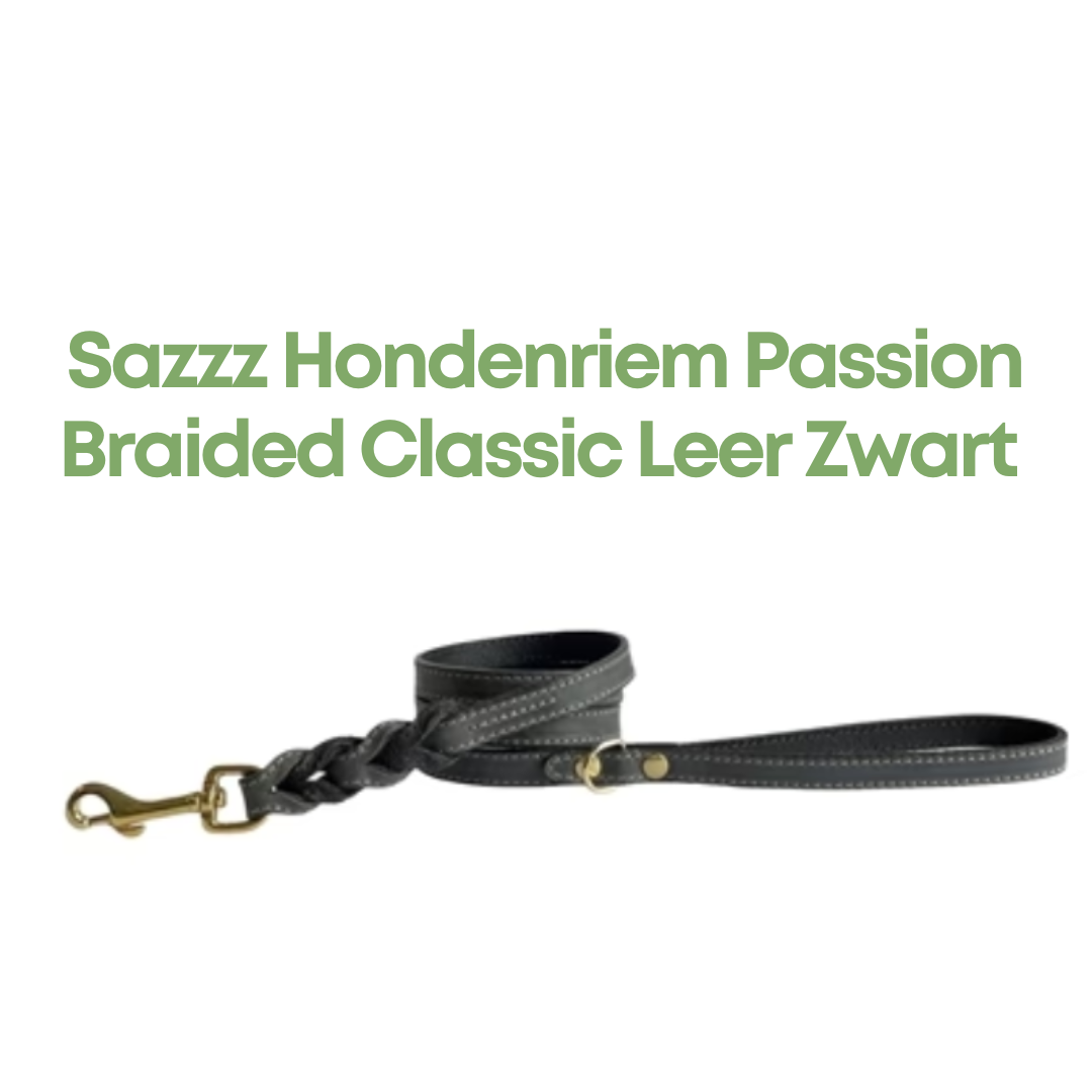 Sazzz Hondenriem Passion Braided Classic Leer Zwart