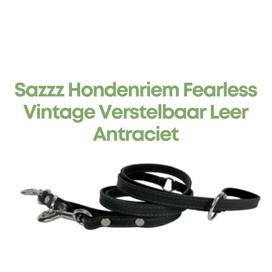 Sazzz Hondenriem Fearless Vintage Verstelbaar Leer Antraciet