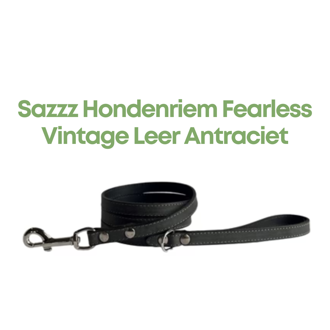 Sazzz Hondenriem Fearless Vintage Leer Antraciet