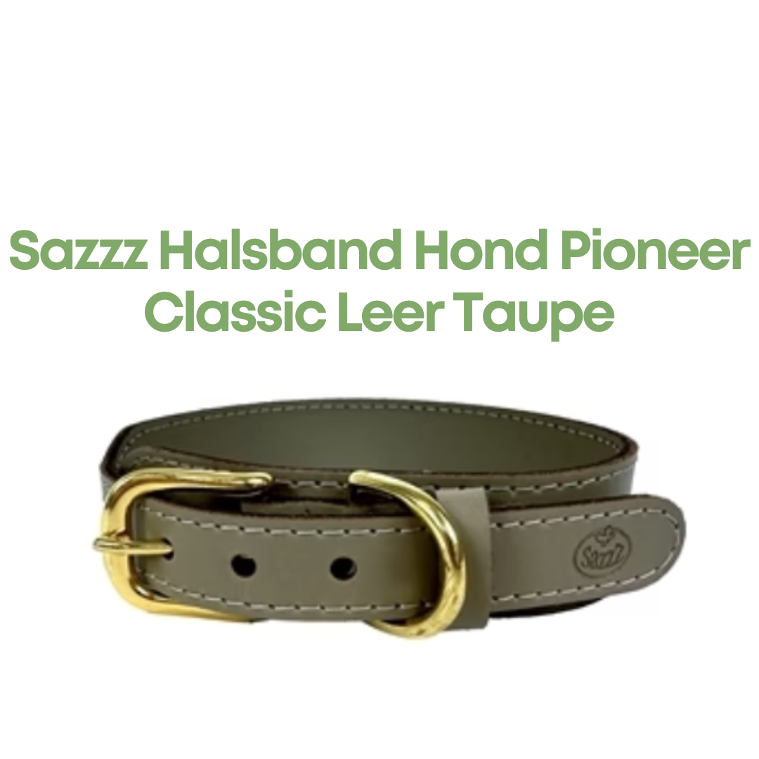Sazzz Halsband Hond Pioneer Classic Leer Taupe