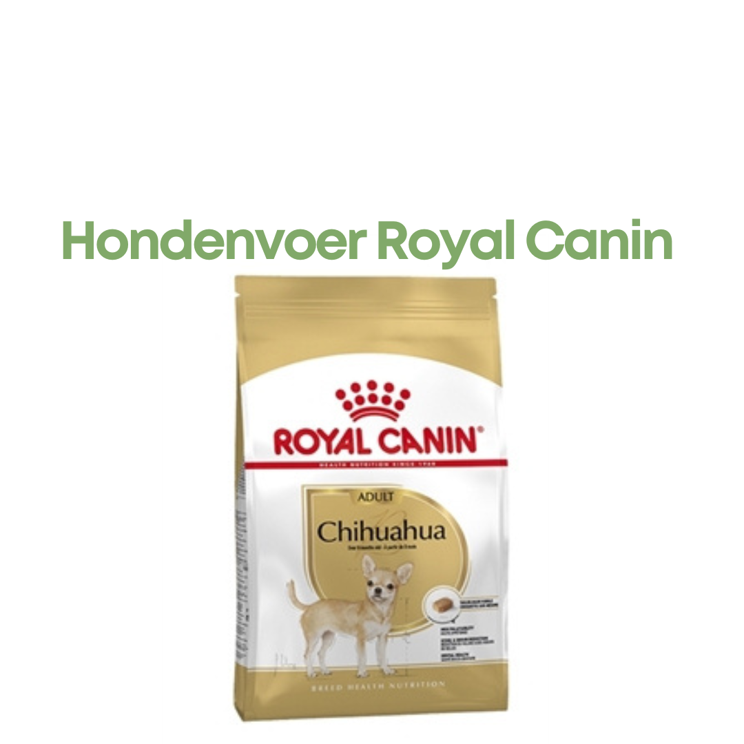 Royal Canin Chihuahua