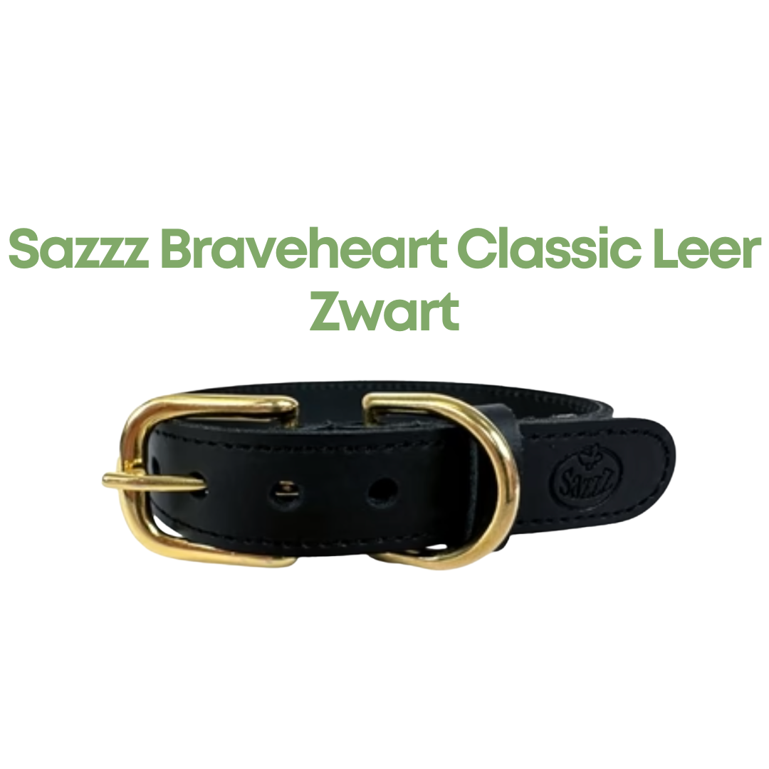 Sazzz Halsband Hond Braveheart Classic Leer Zwart
