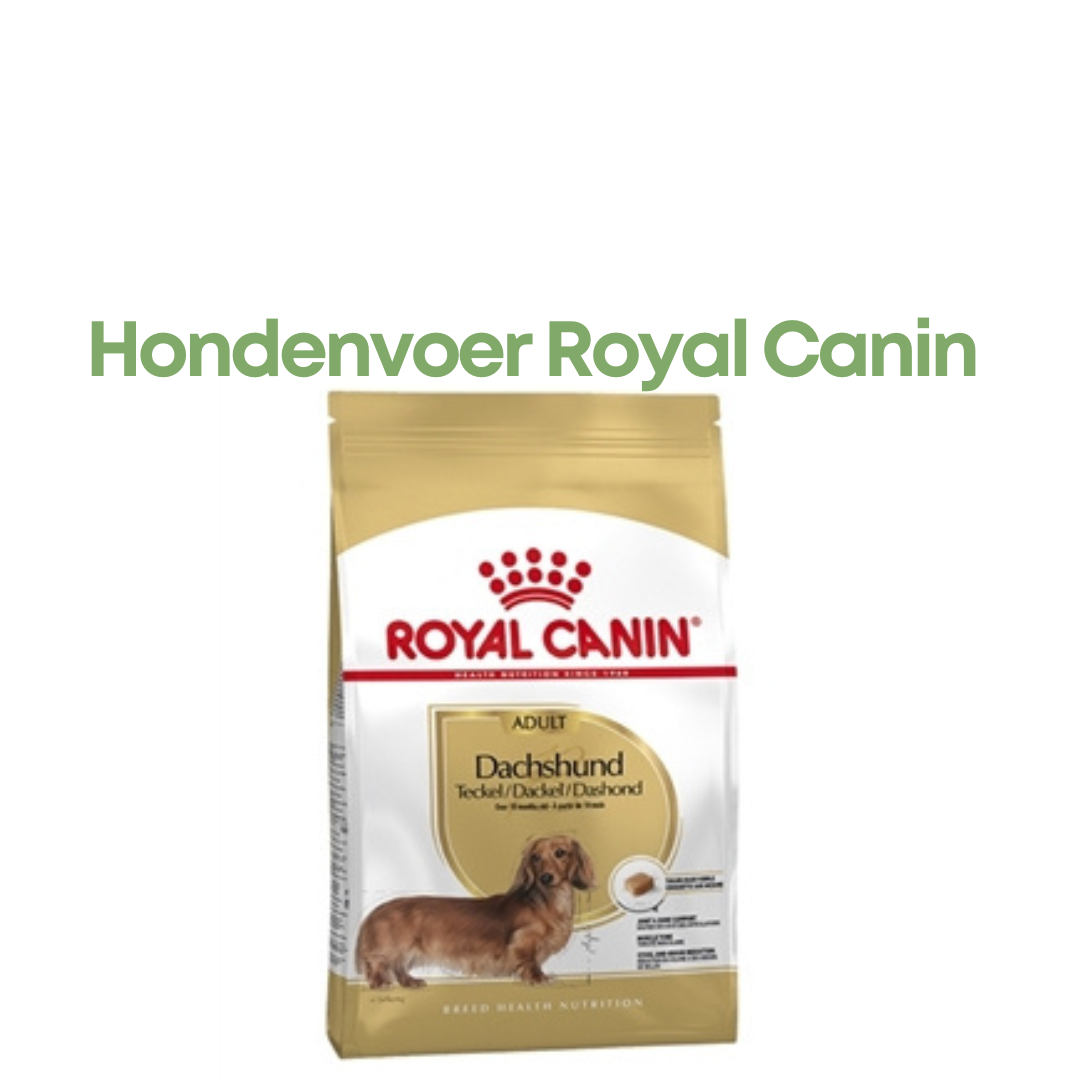 Royal Canin Dachshund Adult 1,5 kg