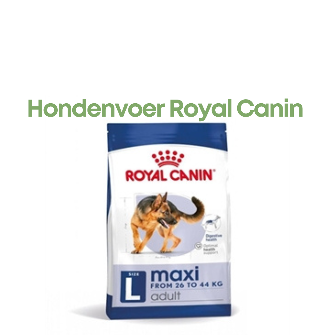 Royal Canin Maxi Adult