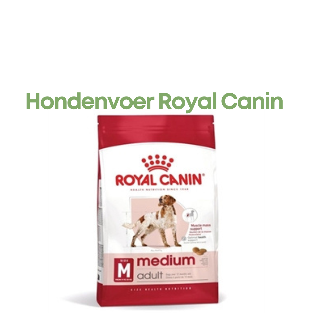 Royal Canin Medium Adult