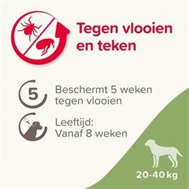 Anti Vlooien & Teken (20-40 kg)