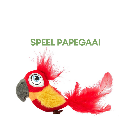 Fofos Papegaai
