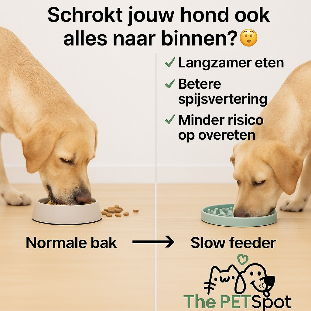 Nina Ottosson Lickin'layers Likmat