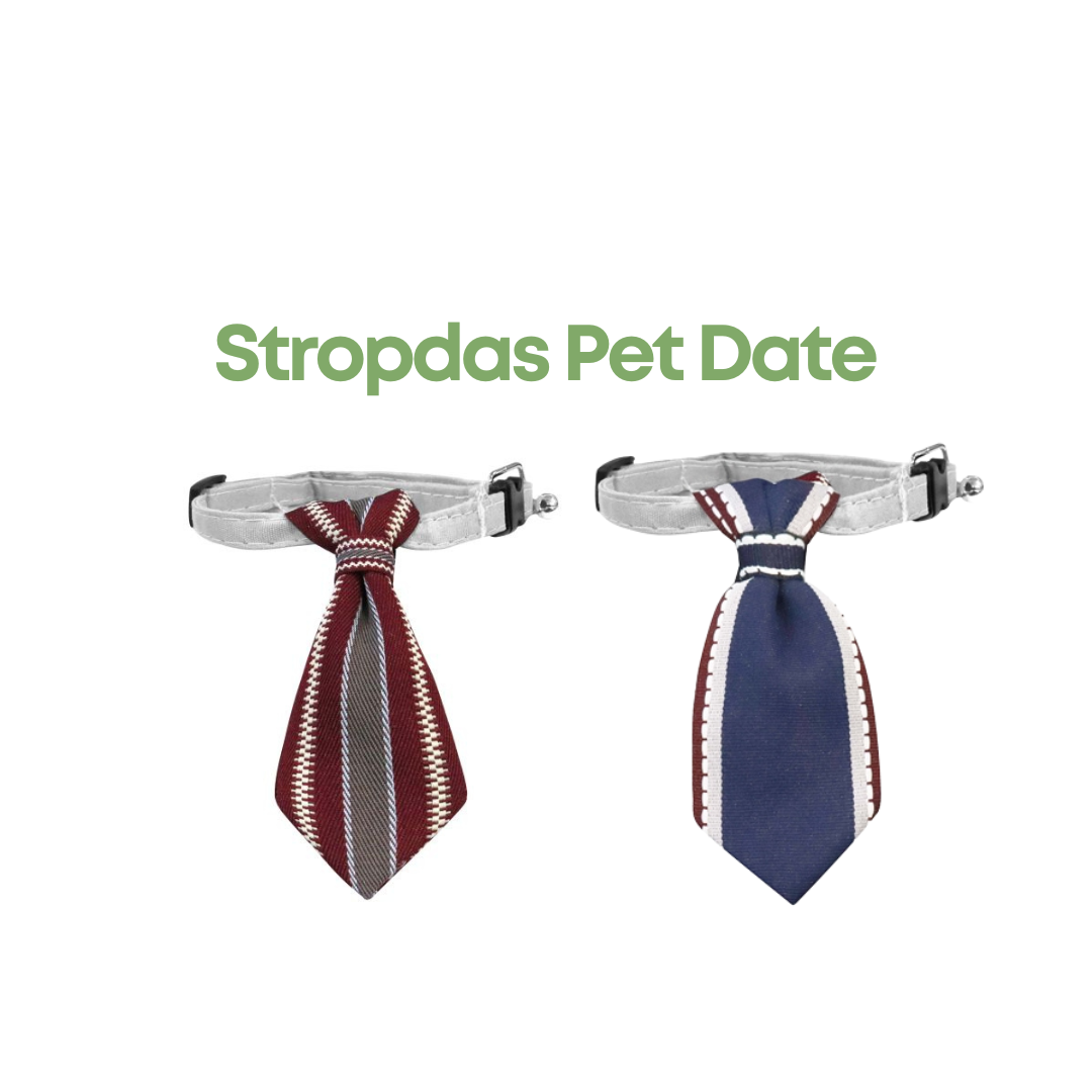 Croci Stropdas Pet Date