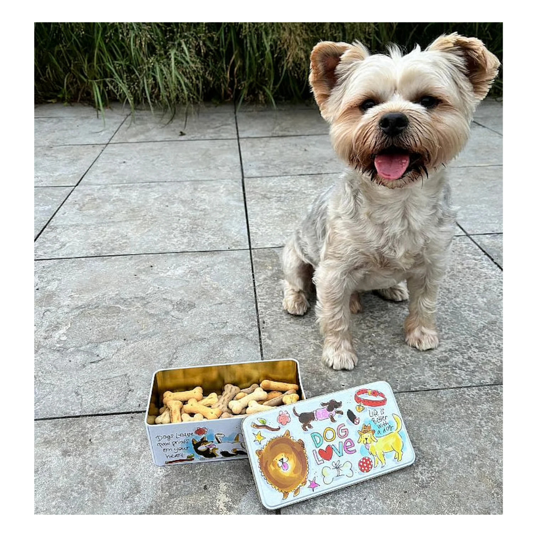 🩷 Blond Amsterdam Bewaarblik Hond - 19cm