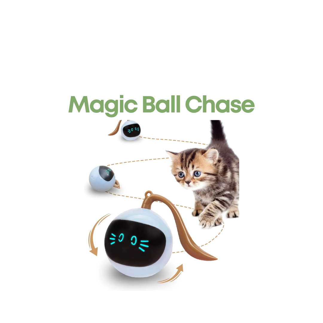 Magic Ball Chase