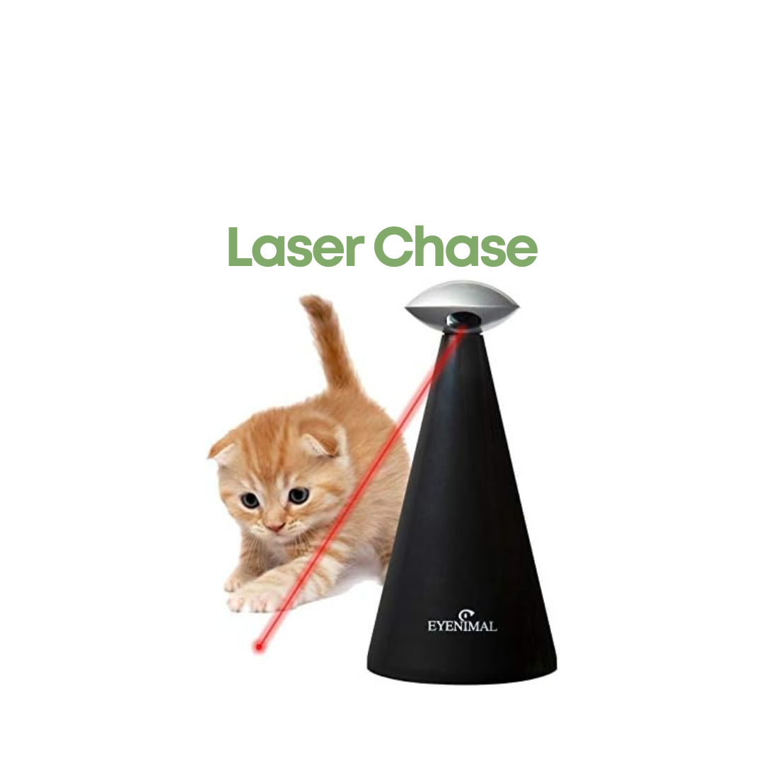 Laser Chase
