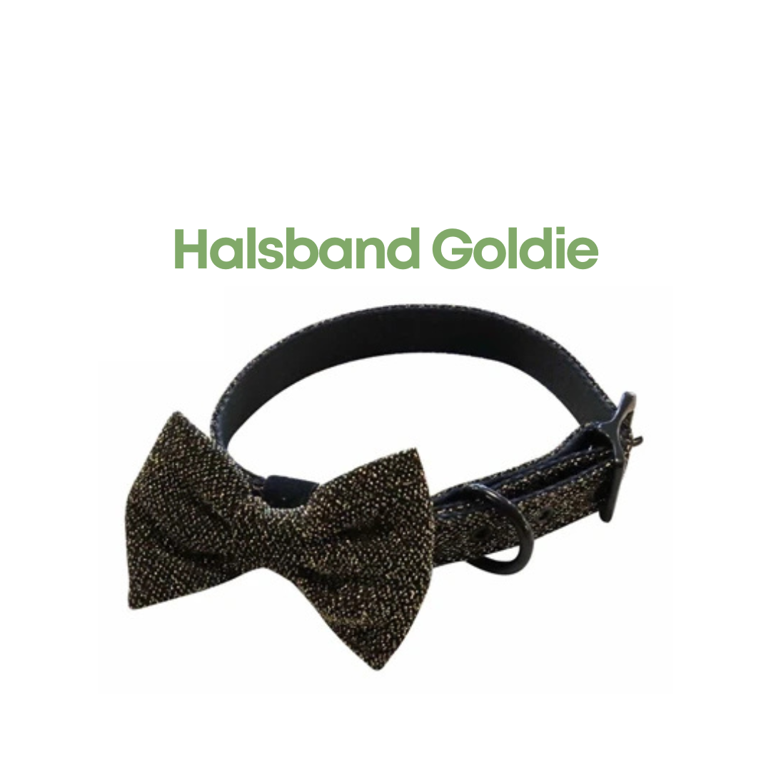 Croci Halsband Goldie