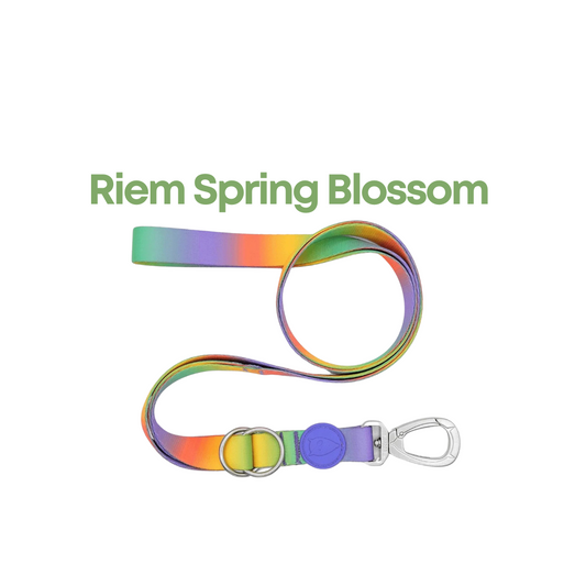 Morso Spring Blossom Hondenriem