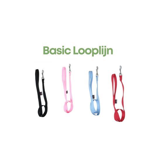 Martin Basic Looplijn