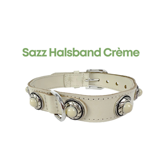 Sazzz Halsband Hond Adventure Stone Classic - Ibiza Style - Crème