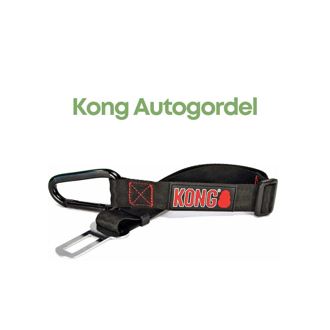 KONG Autogordel