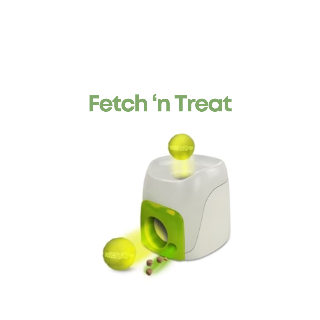 Fetch 'n Treat