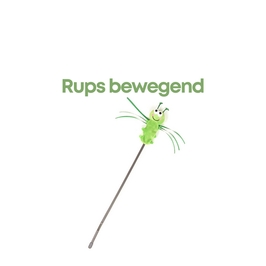 Fofos Rups