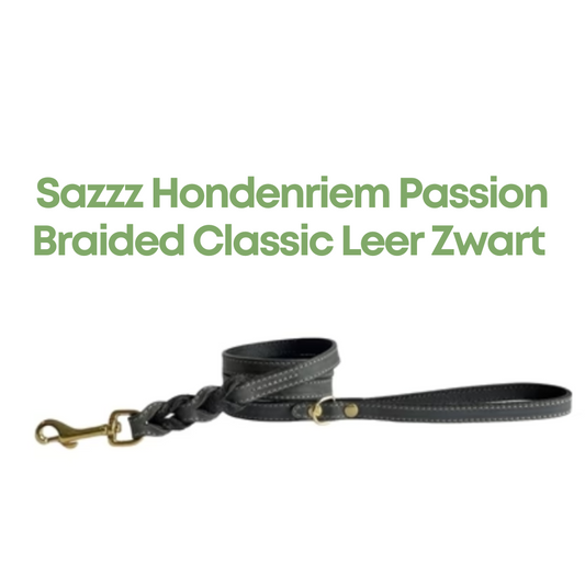 Sazzz Hondenriem Passion Braided Classic Leer Zwart
