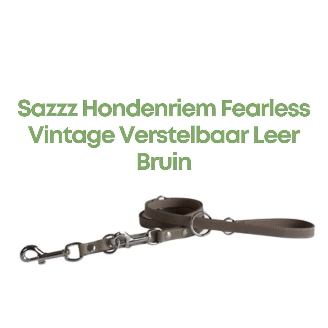 Sazzz Hondenriem Fearless Vintage Verstelbaar Leer Bruin