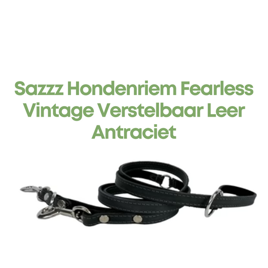 Sazzz Hondenriem Fearless Vintage Verstelbaar Leer Antraciet