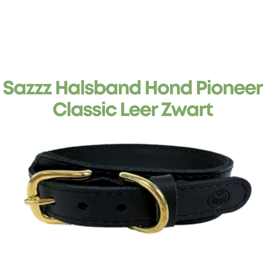 Sazzz Halsband Hond Pioneer Classic Leer Zwart