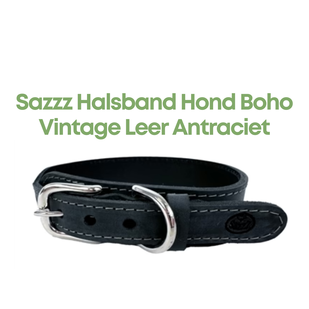 Sazzz Halsband Hond Boho Vintage Leer Antraciet