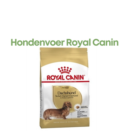 Royal Canin Dachshund Adult 1,5 kg