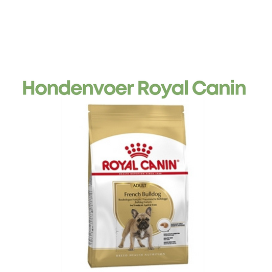 Royal Canin French Bulldog Adult 3 kg