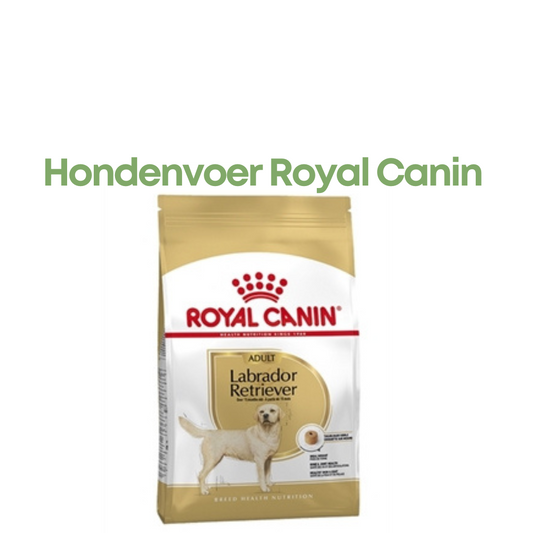 Royal Canin Labrador Retriever Adult 12 kg