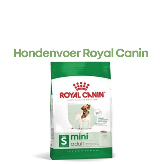 Royal Canin Mini Adult