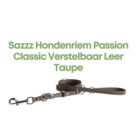 Sazzz Hondenriem Passion Classic Verstelbaar Leer Taupe