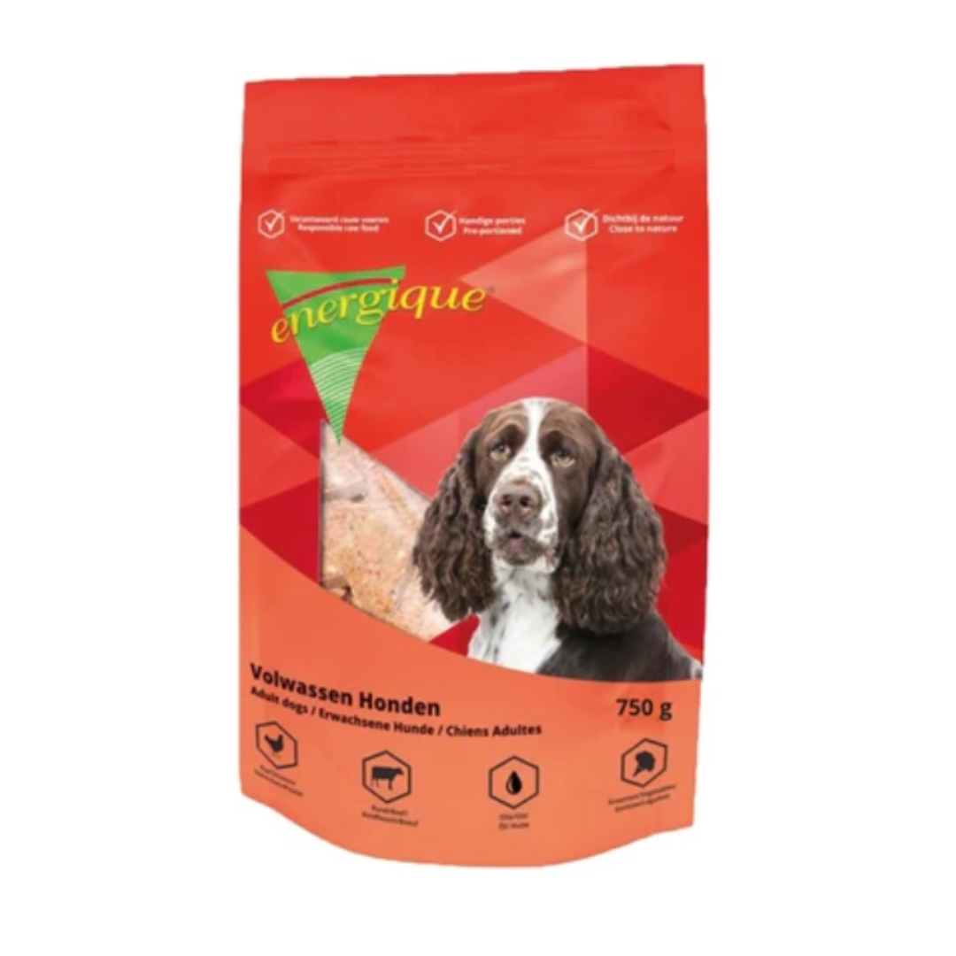 Energique Nr 1 Volwassen Hond