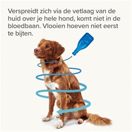 Anti Vlooien & Teken (2-10 KG)