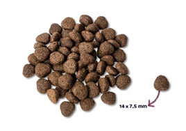 Renske Super Premium Zalm Graanvrij