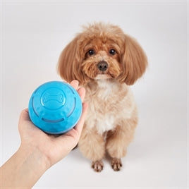 Fofos Rolbal Oplaadbaar