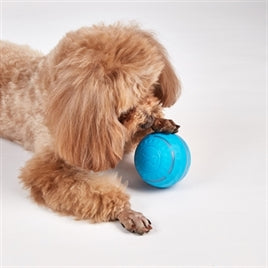 Fofos Rolbal Oplaadbaar