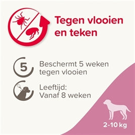 Anti Vlooien & Teken (2-10 KG)